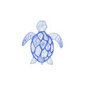 Sea turtle blue