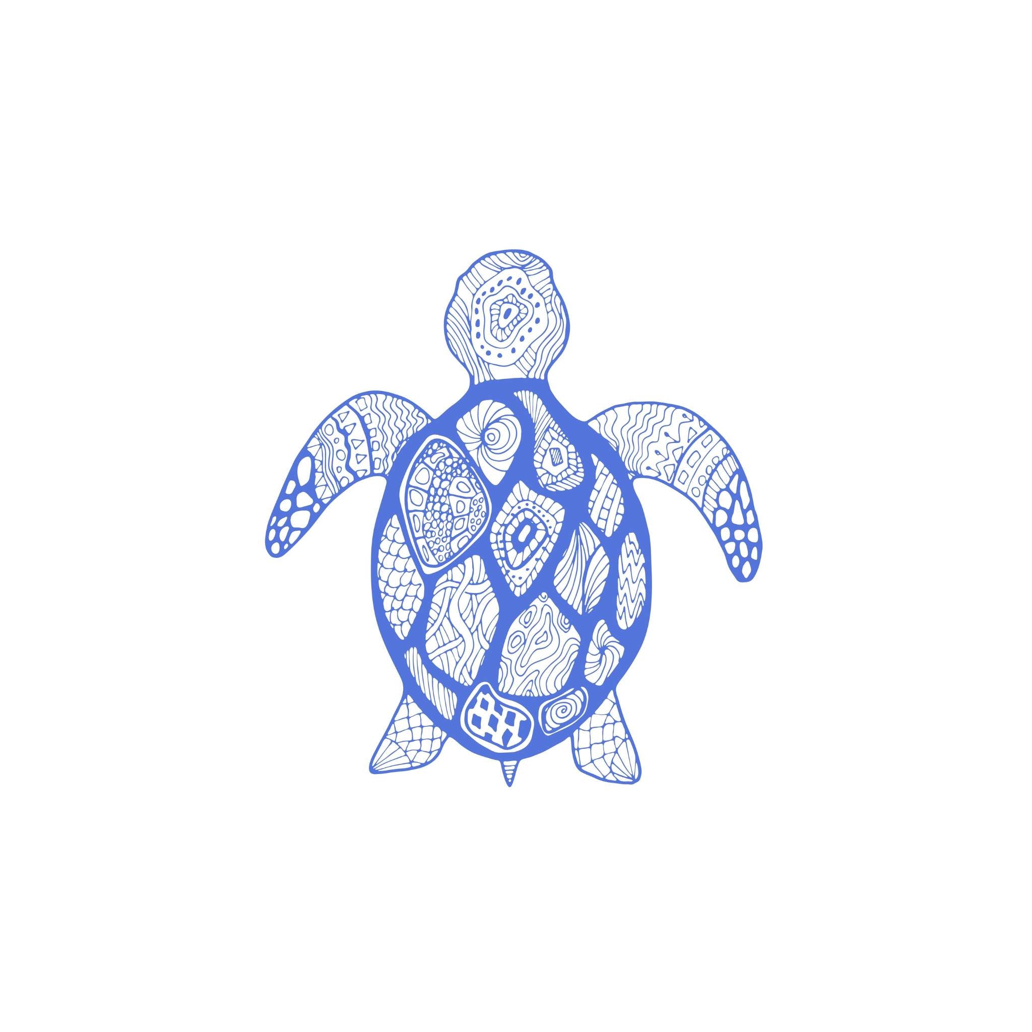 Sea turtle blue