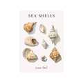 Seashells ocean front