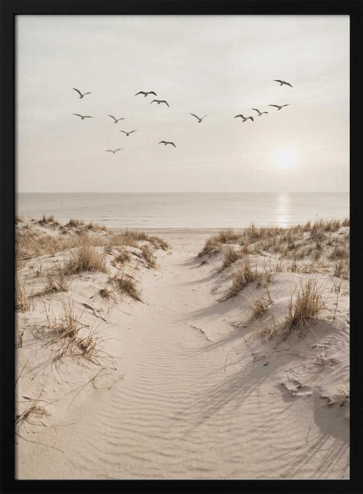 Peaceful Sandy Path