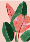 Blush Tropical